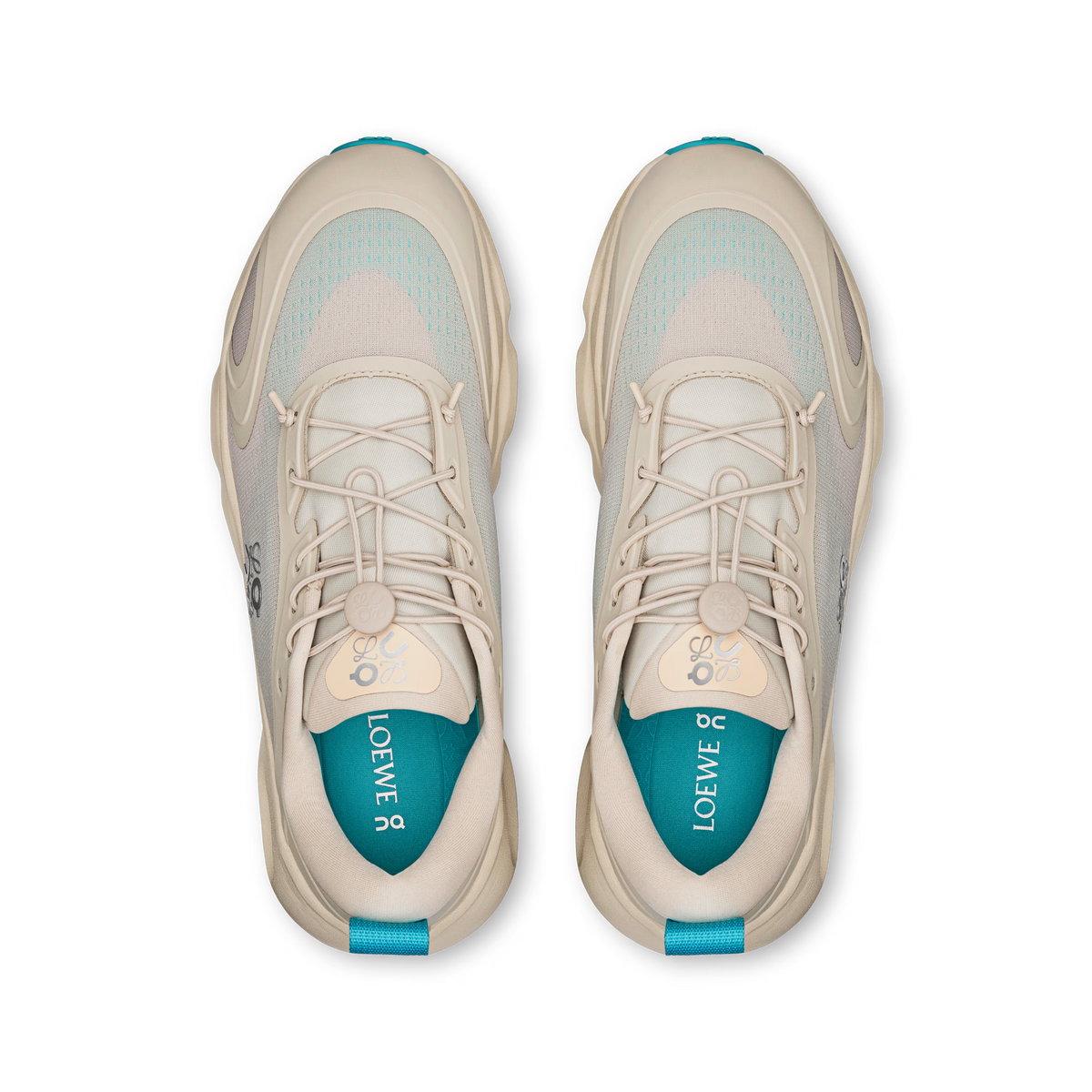 CS x LW