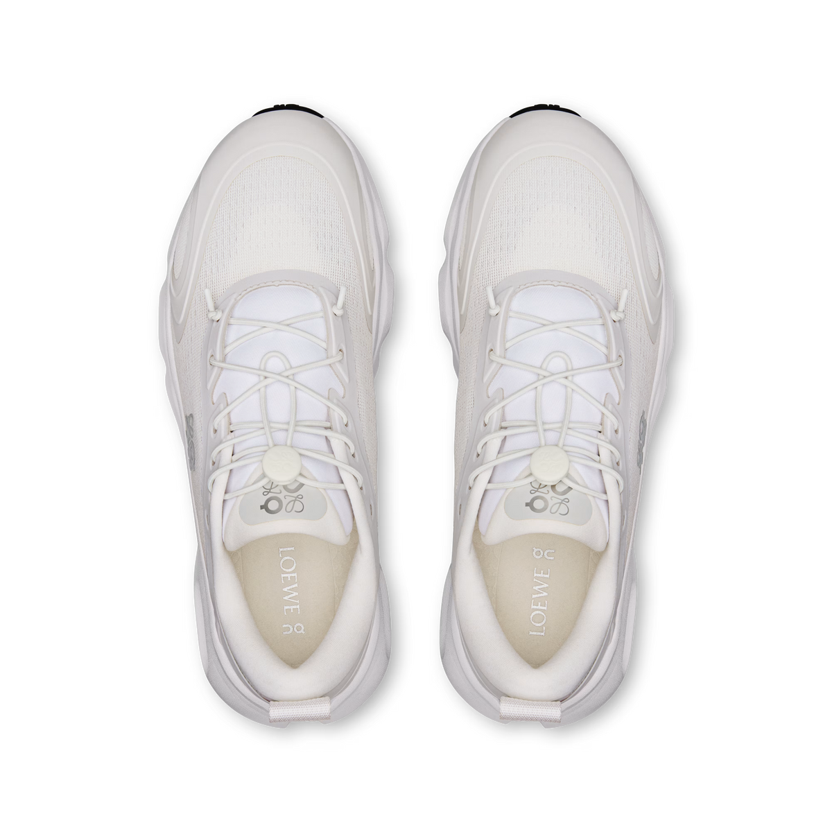 CS x LW